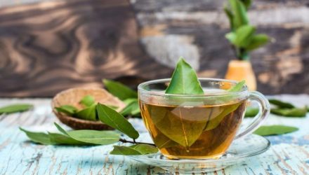 bay leaf bay leaf